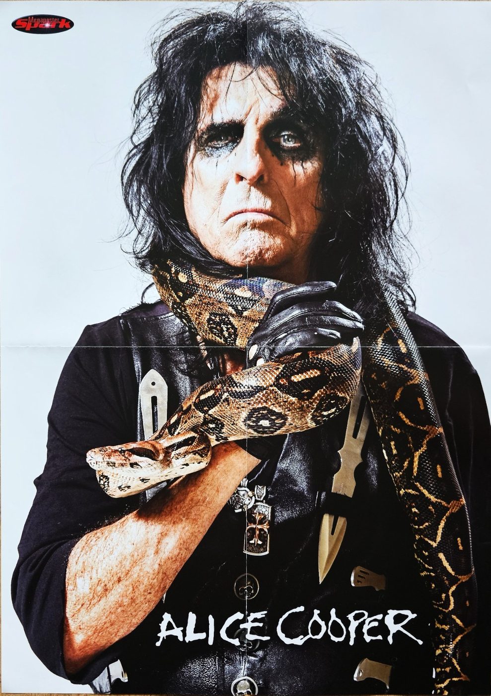 Alice Cooper poster, 40 × 55 cm