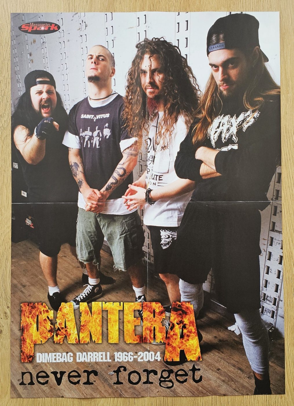 Pantera poster, 40 × 55 cm