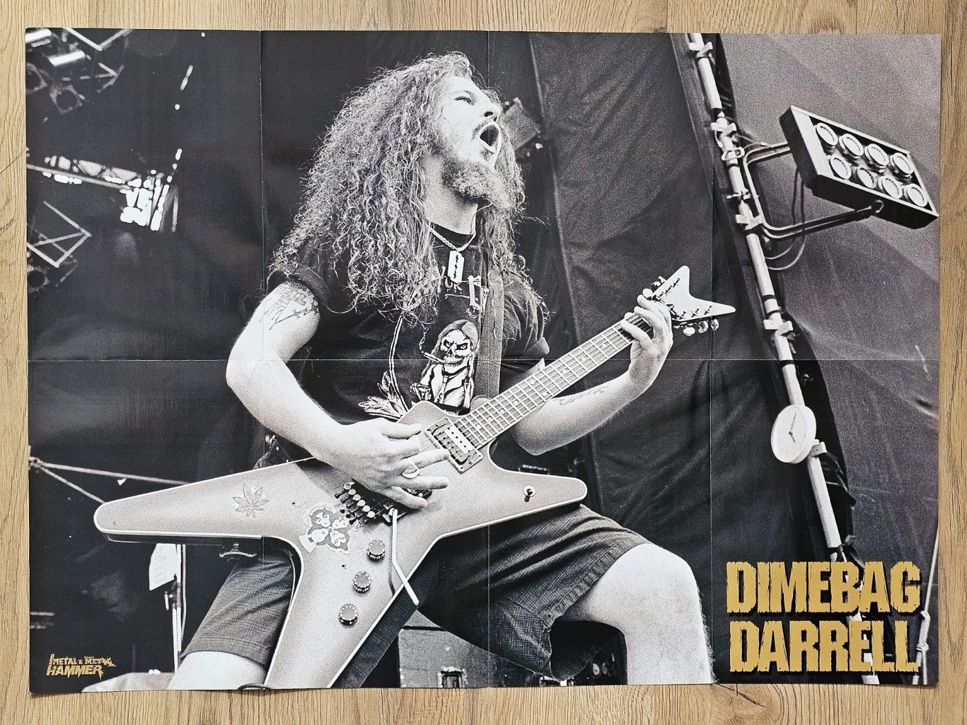 Pantera poster, 75 × 55 cm