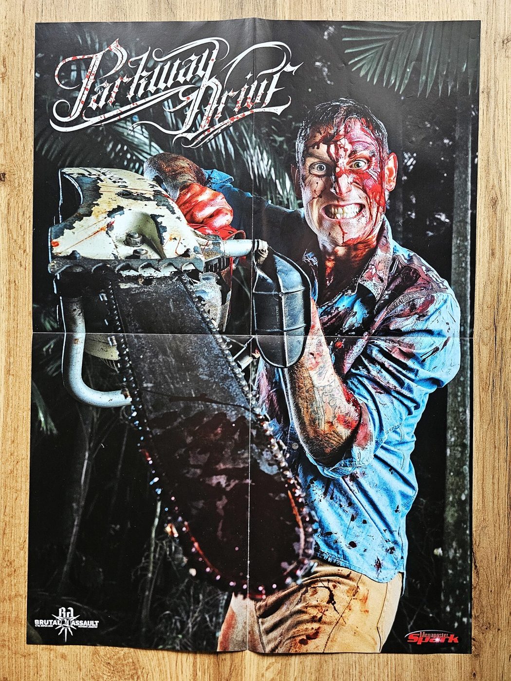 Parkway Drive poster, 40 × 55 cm
