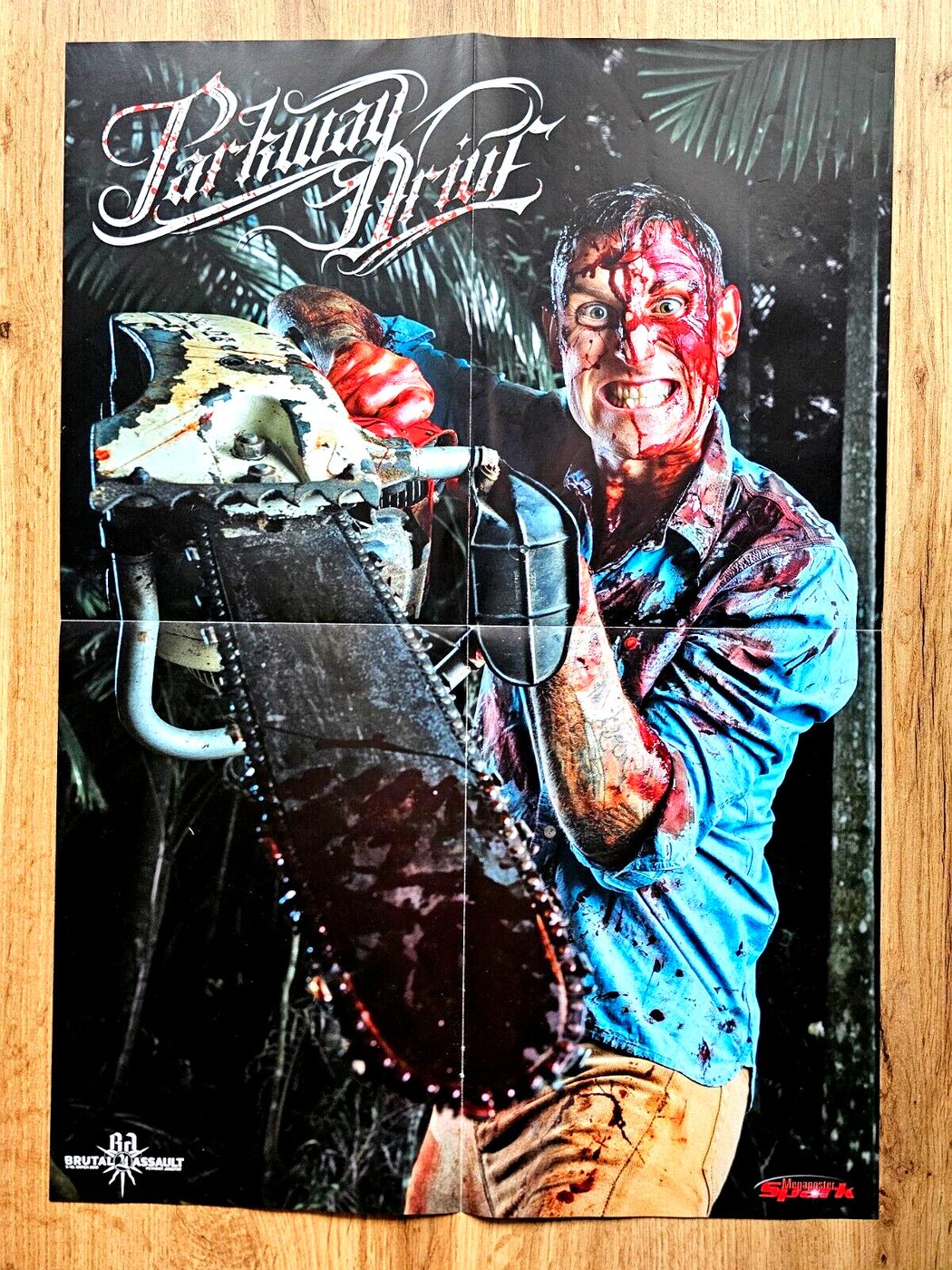 Parkway Drive poster, 40 × 55 cm