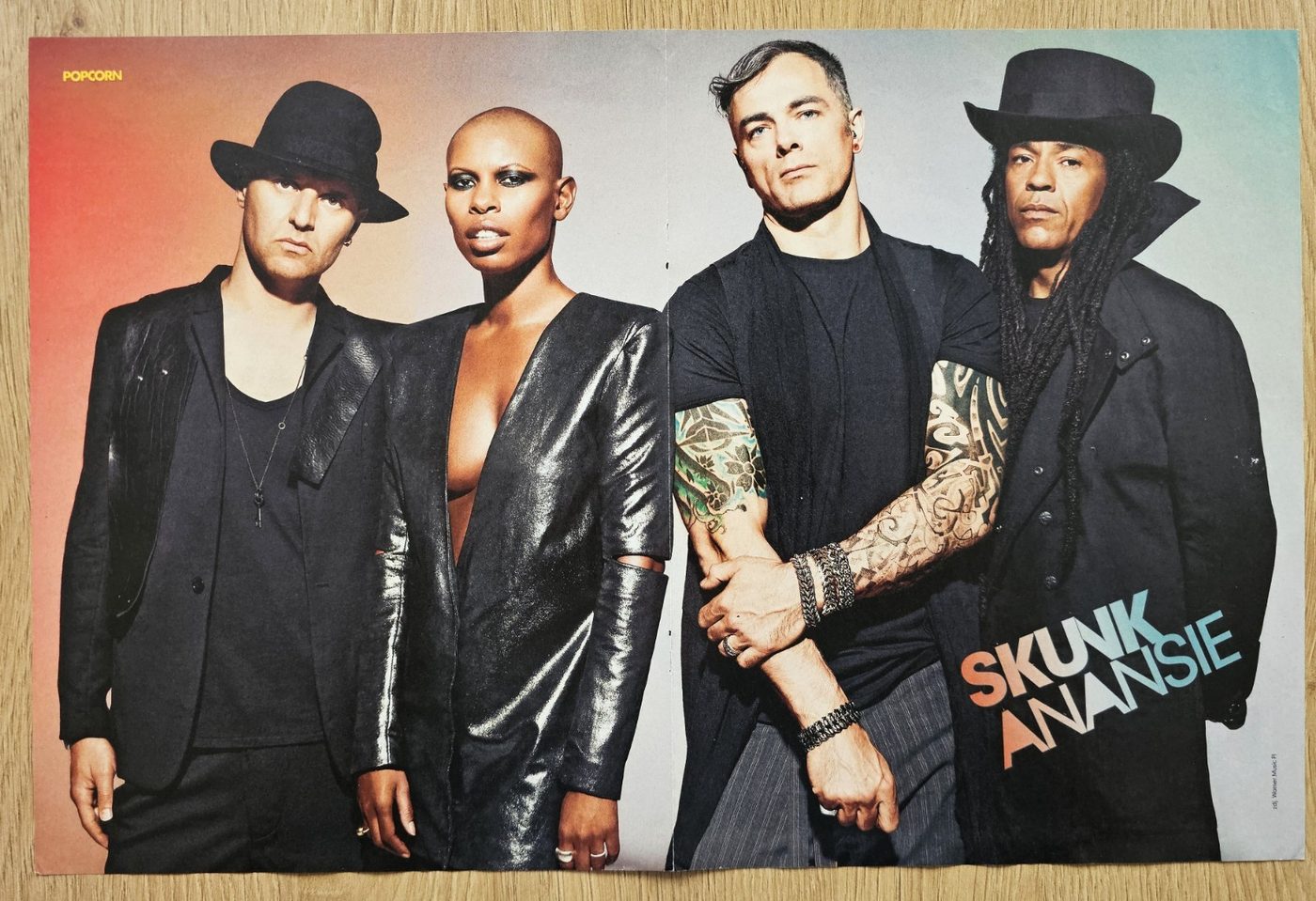 Skunk Anansie poster, 40 × 30 cm