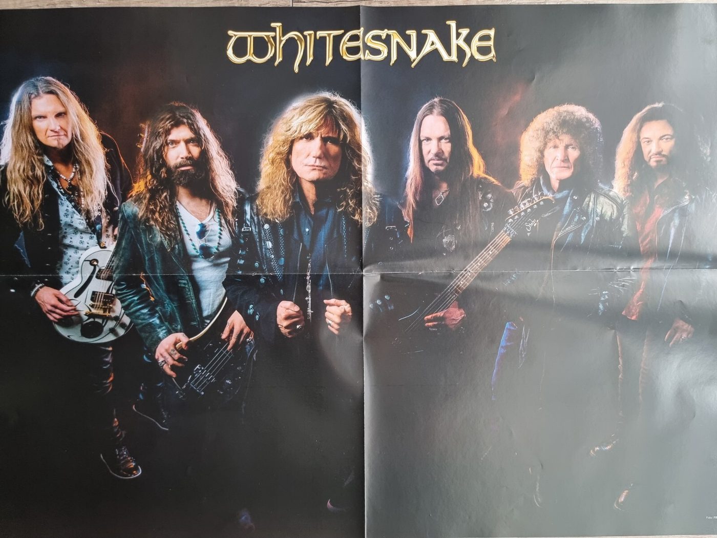 Whitesnake poster, 55 × 40 cm